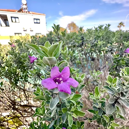 Mediterranean Oasis - Ayia Thekla *